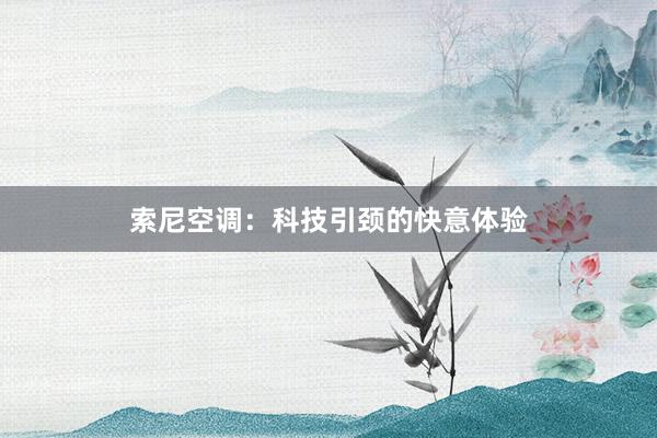 索尼空调：科技引颈的快意体验